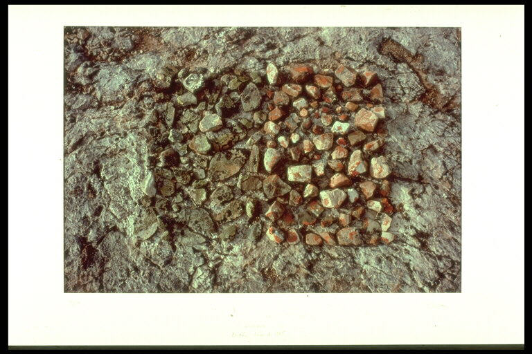 Lichens, Baffin Island 1985