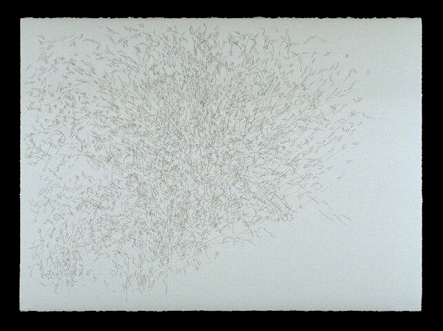 Tree Study, July 27/93